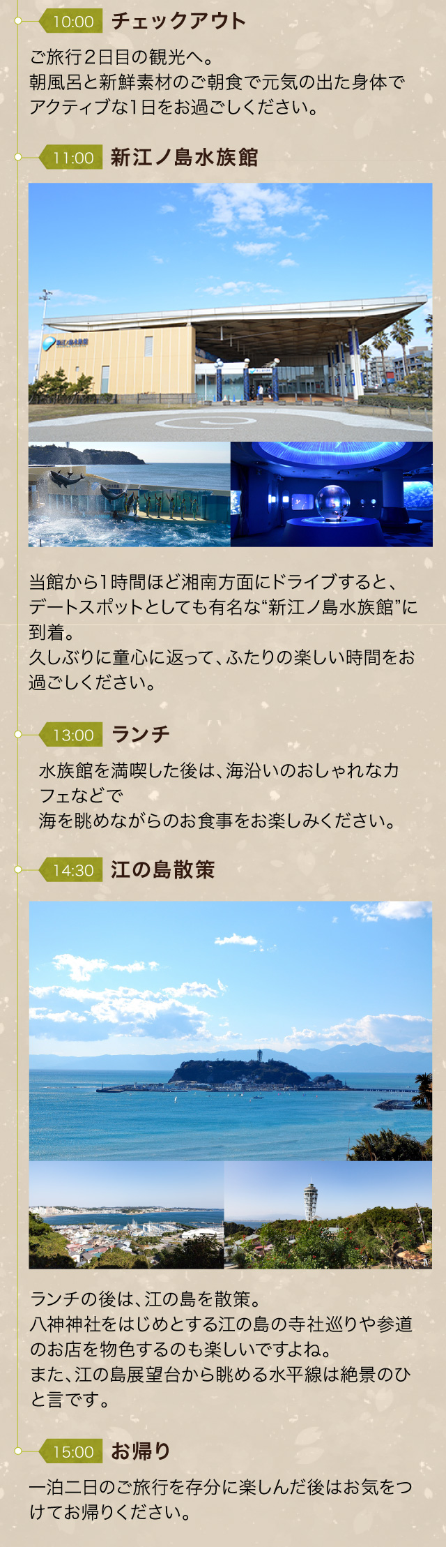 厚木飯山温泉 元湯旅館 過ごし方 楽天トラベル